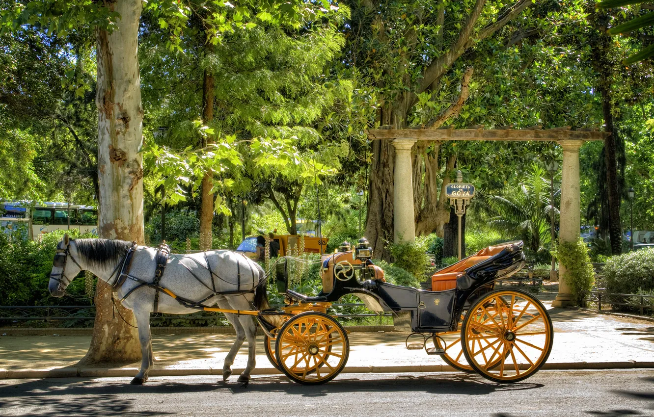 Photo wallpaper horse, coach, Spain, Spain, Seville, Seville, Maria Luisa Park, Maria Luisa Park