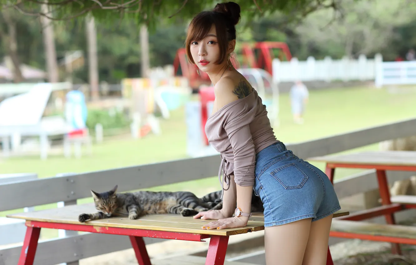 Photo wallpaper cat, look, pose, model, shorts, portrait, makeup, figure