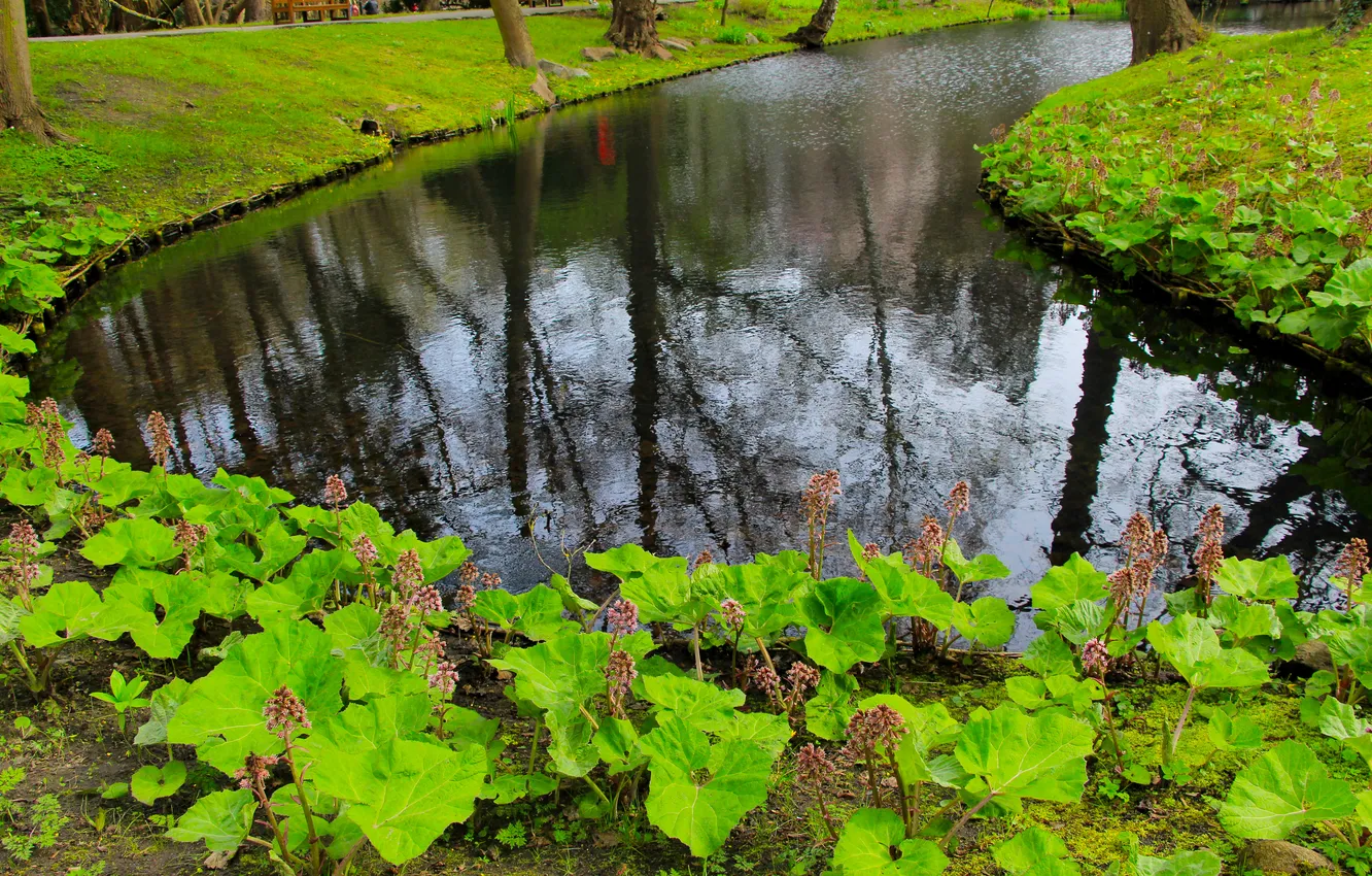 Photo wallpaper water, park, lake, pond