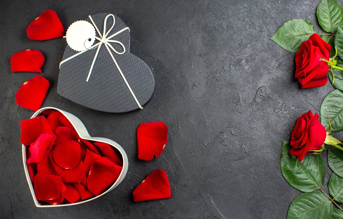 Photo wallpaper leaves, love, flowers, red, the dark background, holiday, box, gift