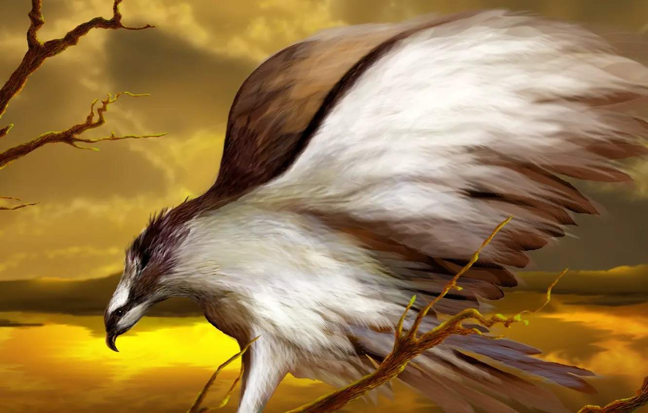 Photo wallpaper bird, eagle, figure, wings