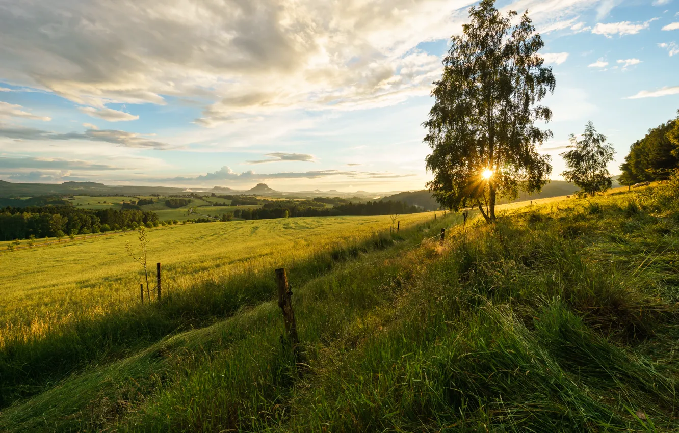 Photo wallpaper field, grass, trees, sunset, Switzerland