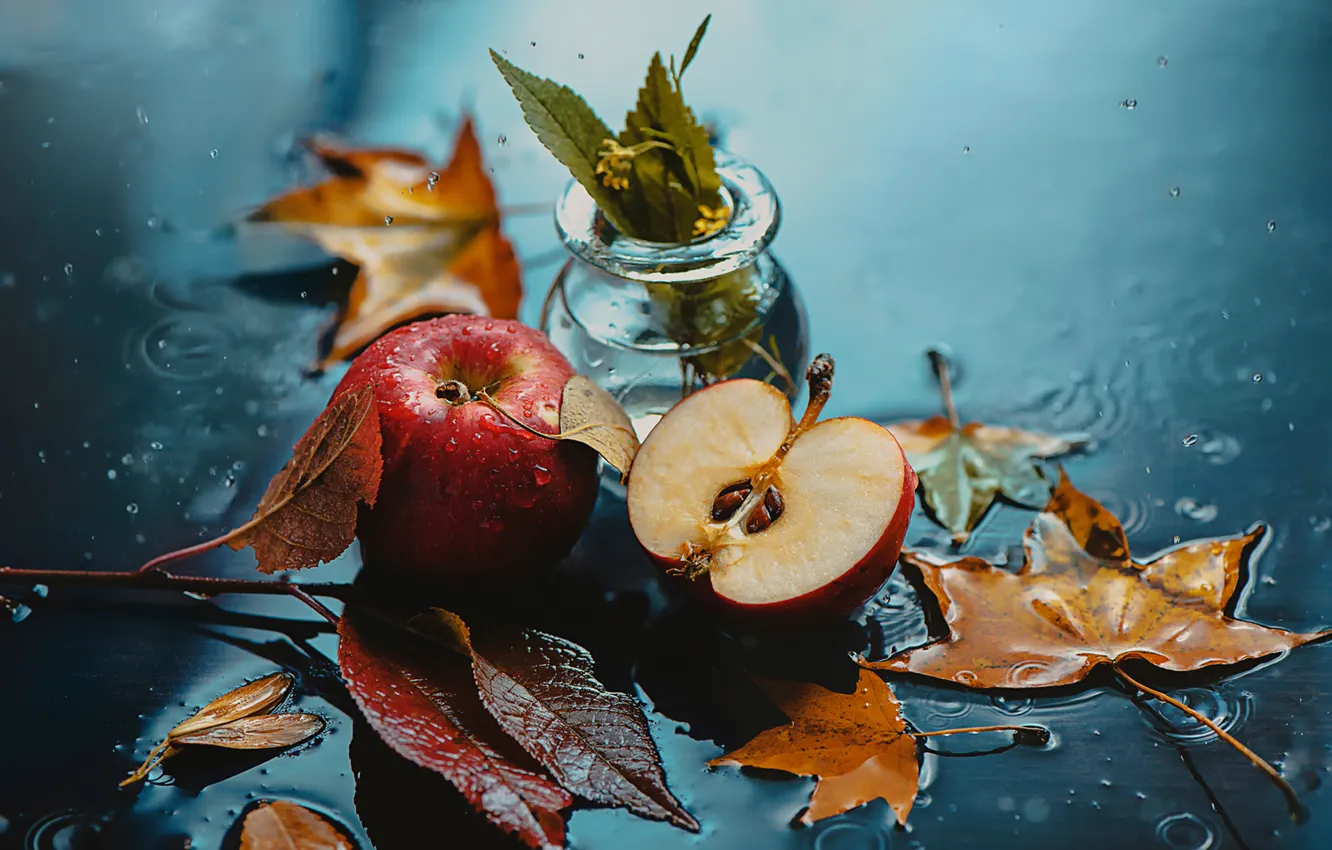 Photo wallpaper autumn, leaves, drops, apples