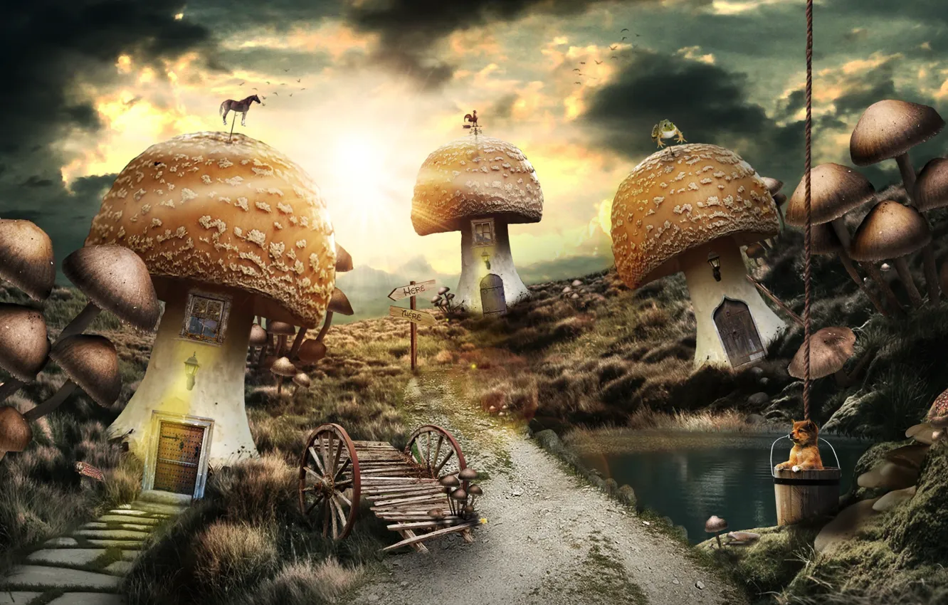 Photo wallpaper road, pond, mushrooms, dog, index, bucket, cart, weathervane