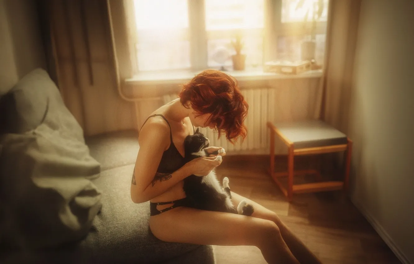 Photo wallpaper model, cat, red, Alexander the Wolf