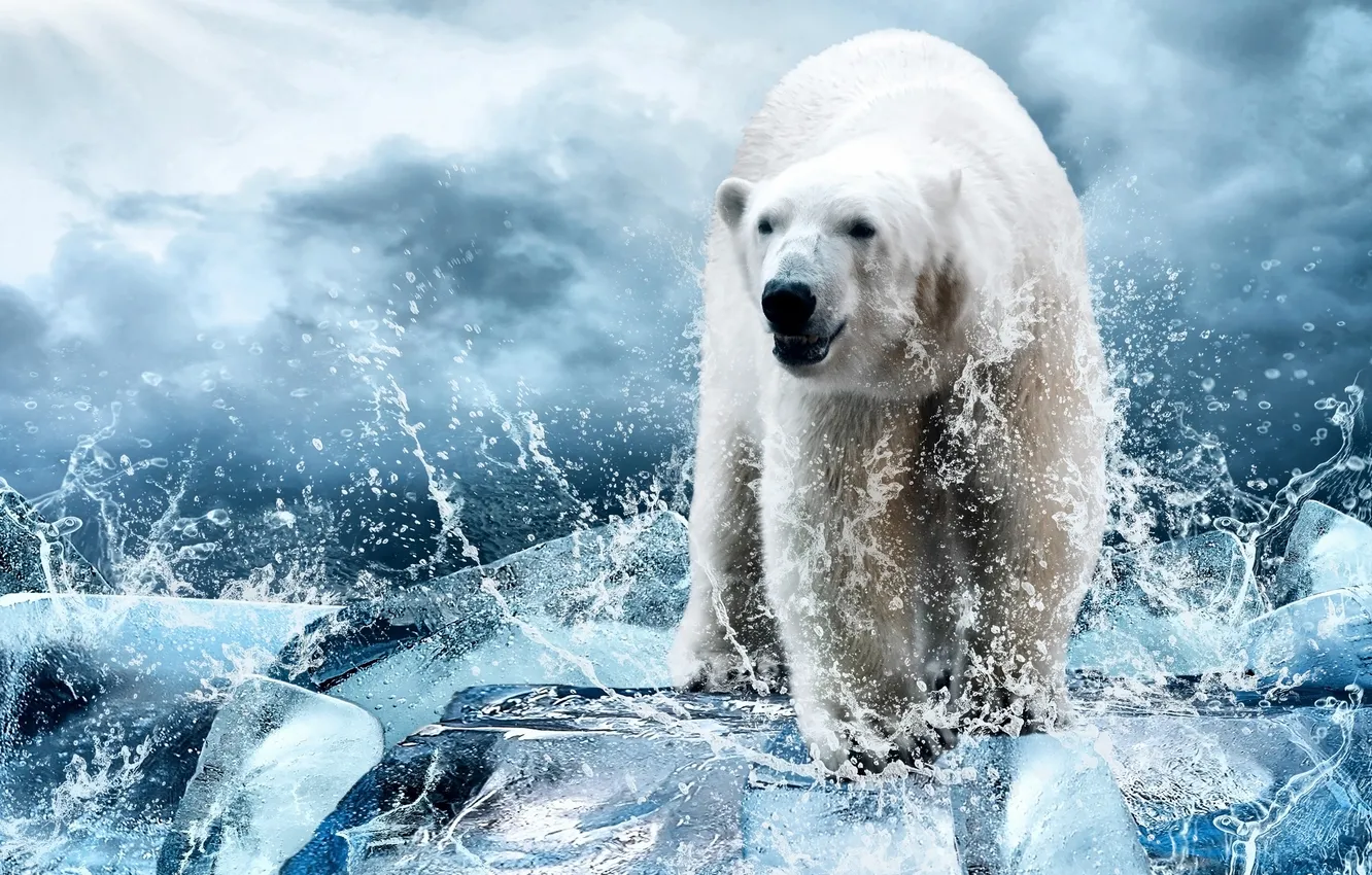 Photo wallpaper ice, the sky, clouds, squirt, polar bear, polar