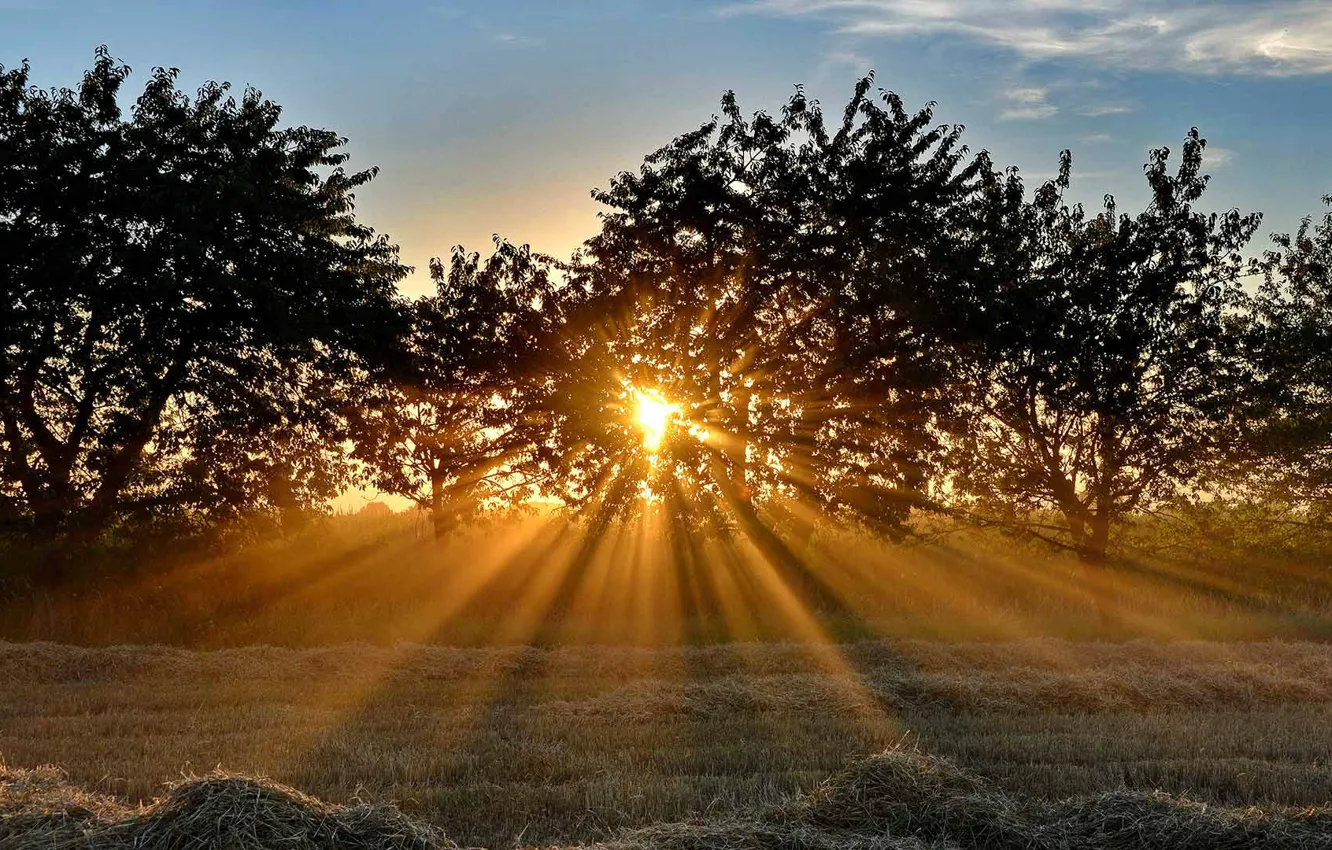 https://img.goodfon.com/wallpaper/nbig/9/8d/bavariia-germaniia-zakat-luchi-pole-derevia.webp