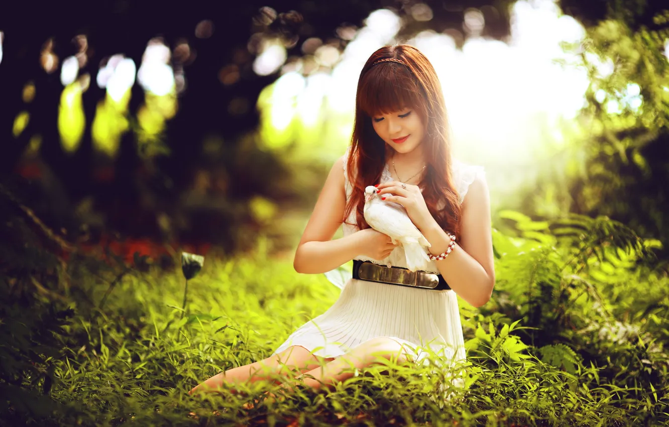 Photo wallpaper girl, bird, Asian