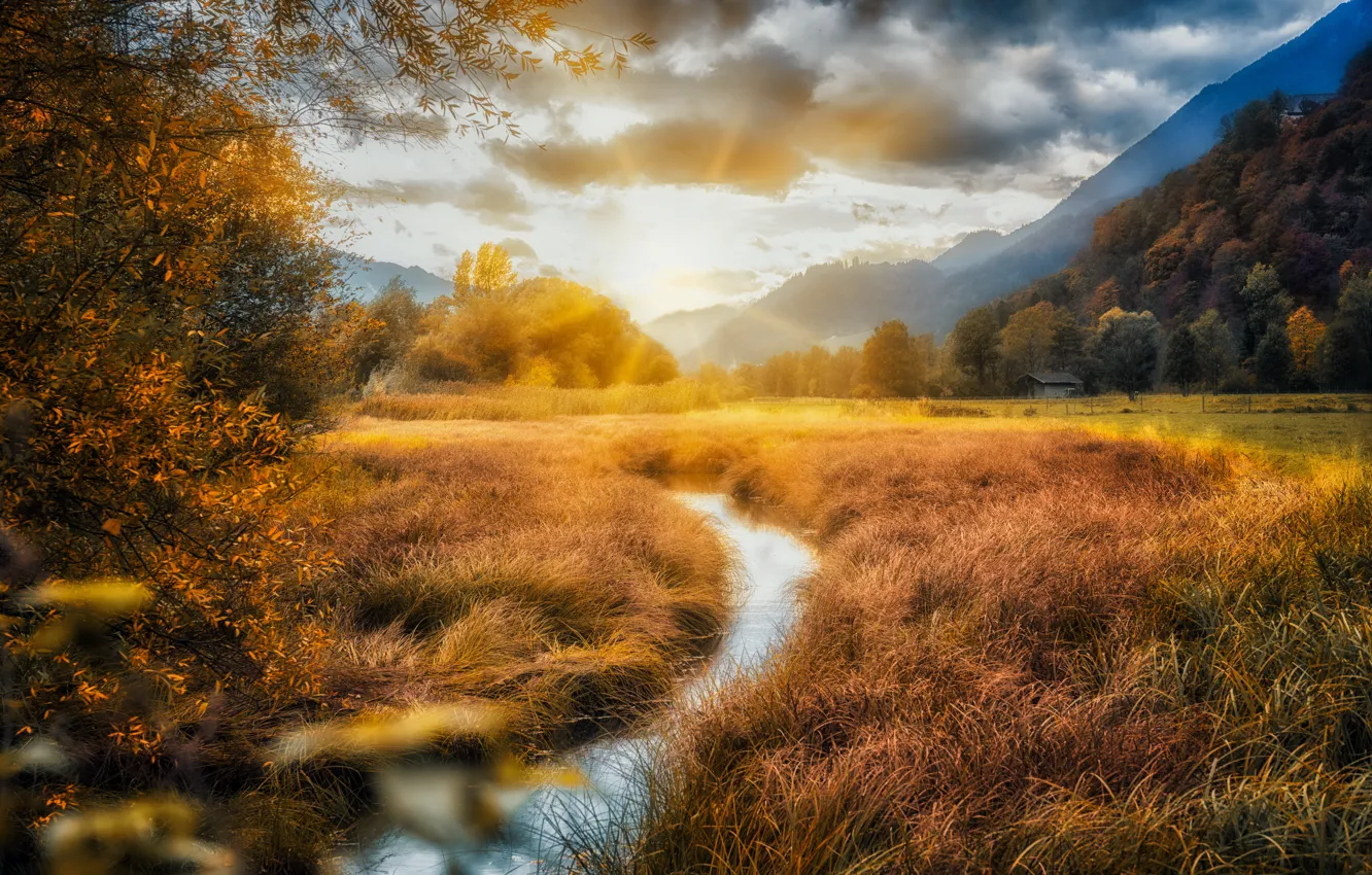 Photo wallpaper field, nature, river
