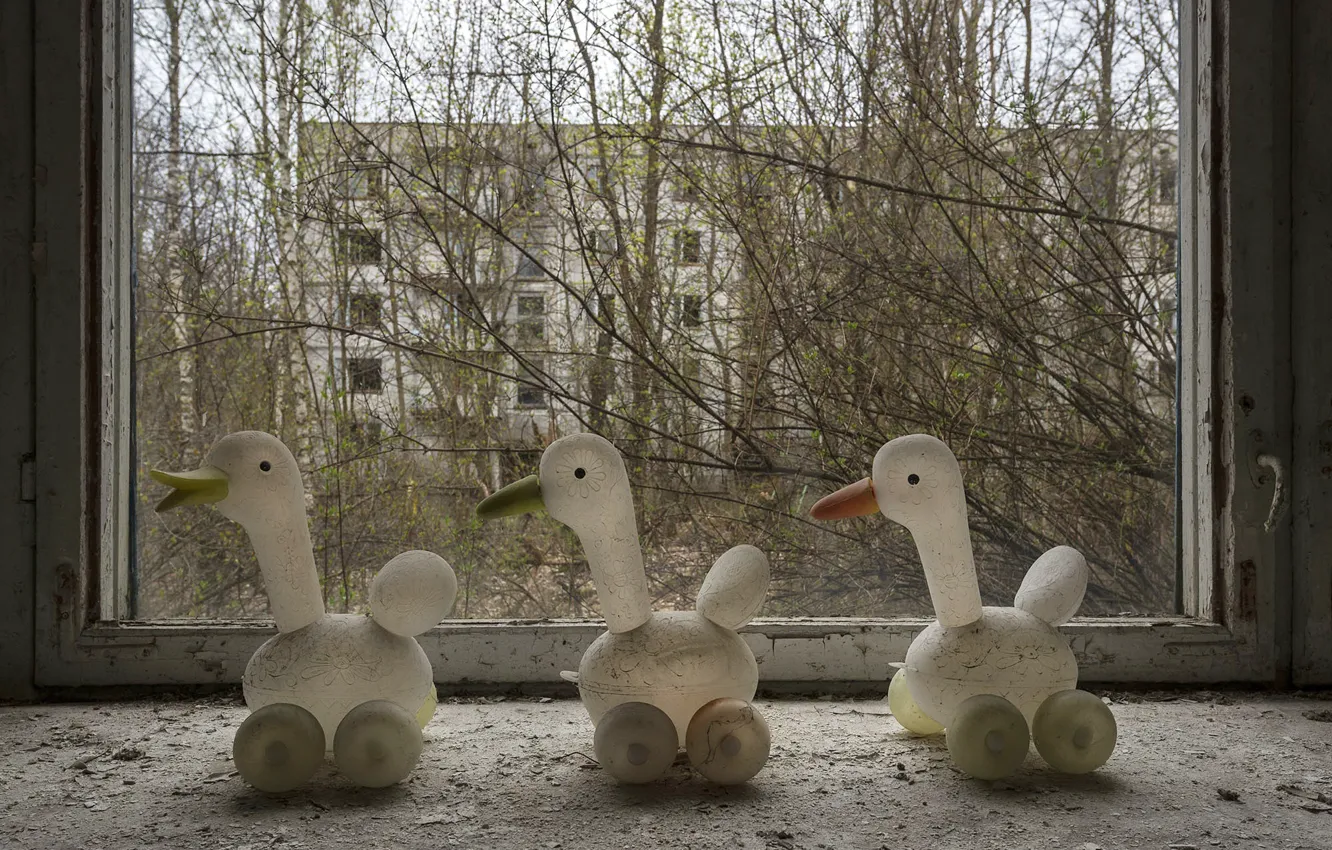 Photo wallpaper toy, duck, window, Chernobyl