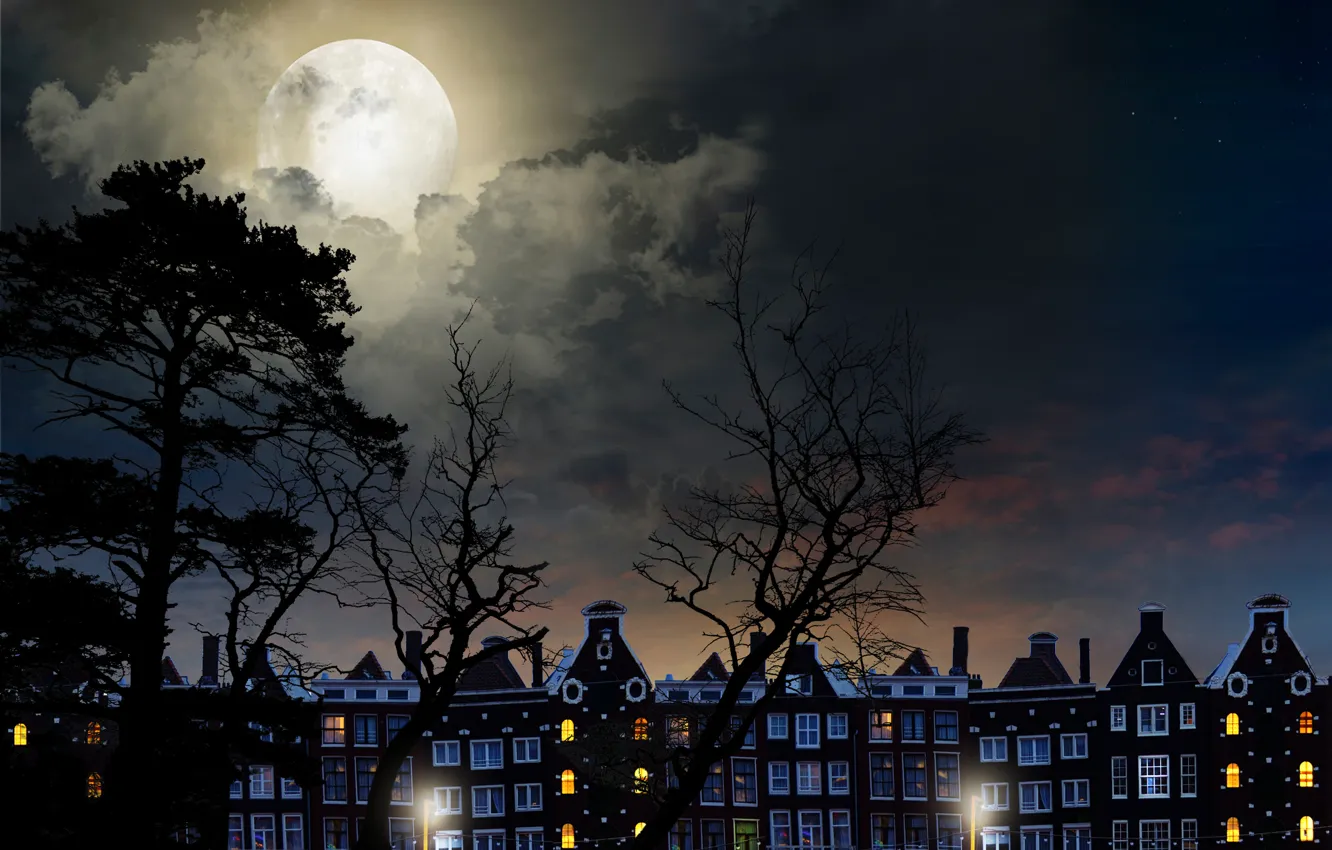 Photo wallpaper the sky, clouds, trees, landscape, the moon, moon, sky, trees