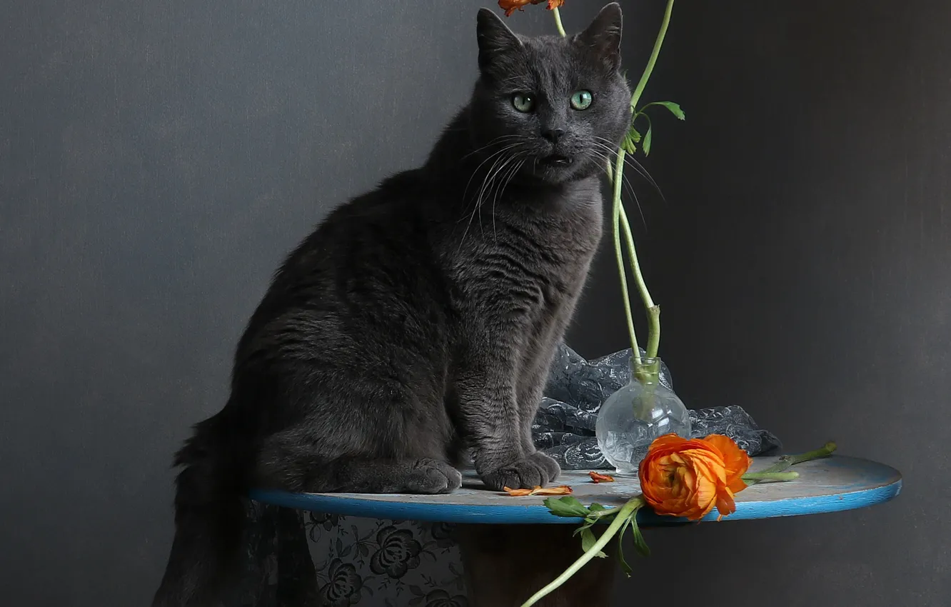 Photo wallpaper cat, cat, look, flowers, orange, pose, stem, fabric
