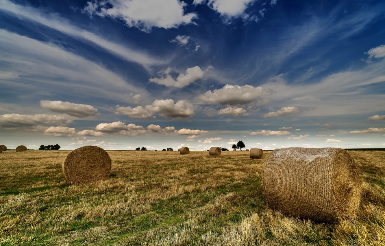 Photo wallpaper field, summer, hay