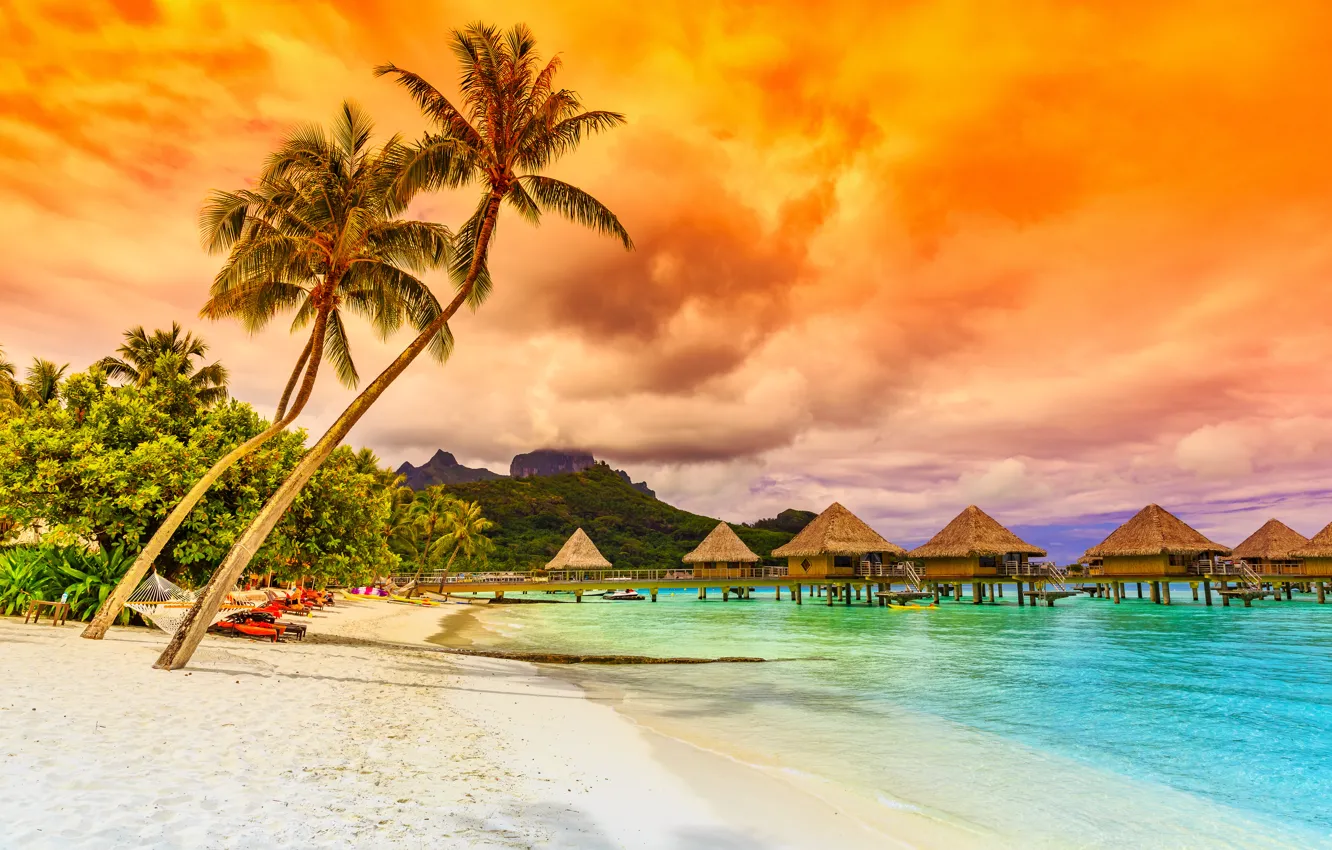 Photo wallpaper sand, sea, beach, sunset, palm trees, shore, beach, sea