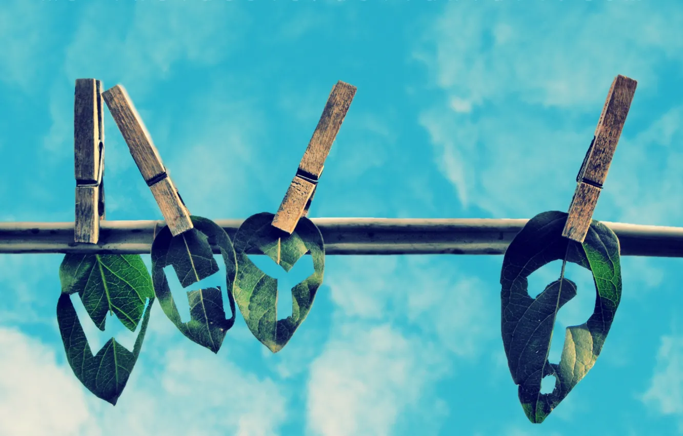 Photo wallpaper rope, leaf, question, words, clothespins