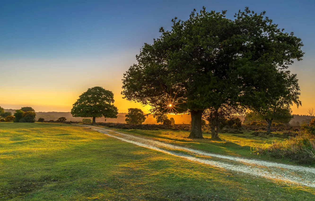 Photo wallpaper trees, sunset, nature, rays of light, Grasslands Road