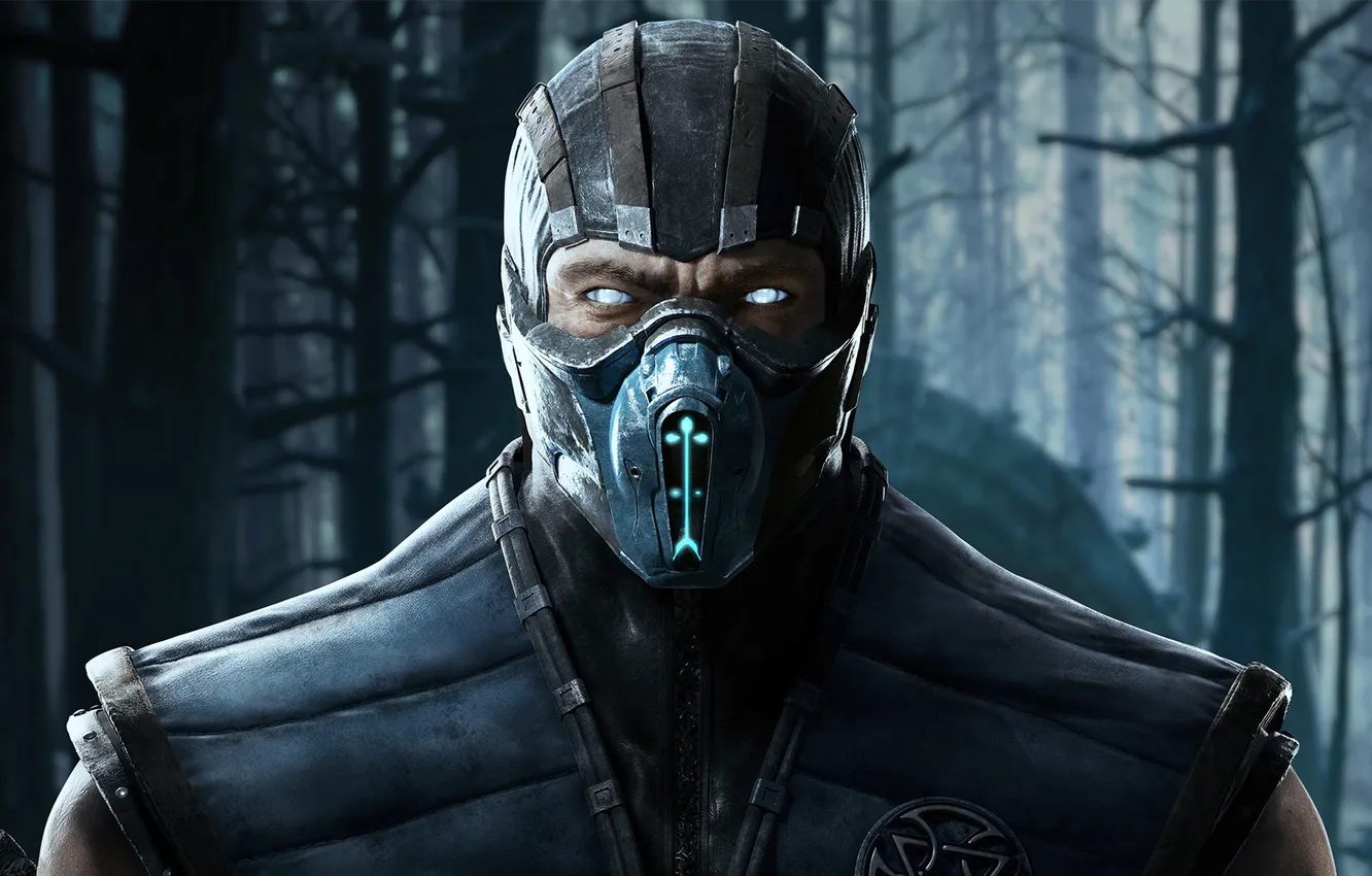 Photo wallpaper look, mask, equipment, Sub-Zero, Sub-Zero, Warner Bros. Interactive Entertainment, NetherRealm Studios, Mortal Kombat X