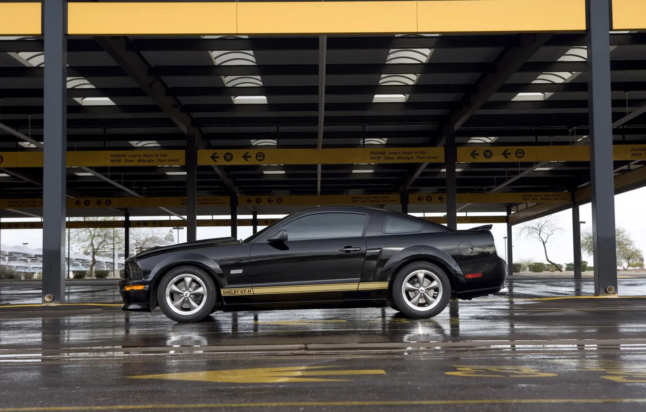 Photo wallpaper asphalt, wet, garage, ShelbyGT500KR
