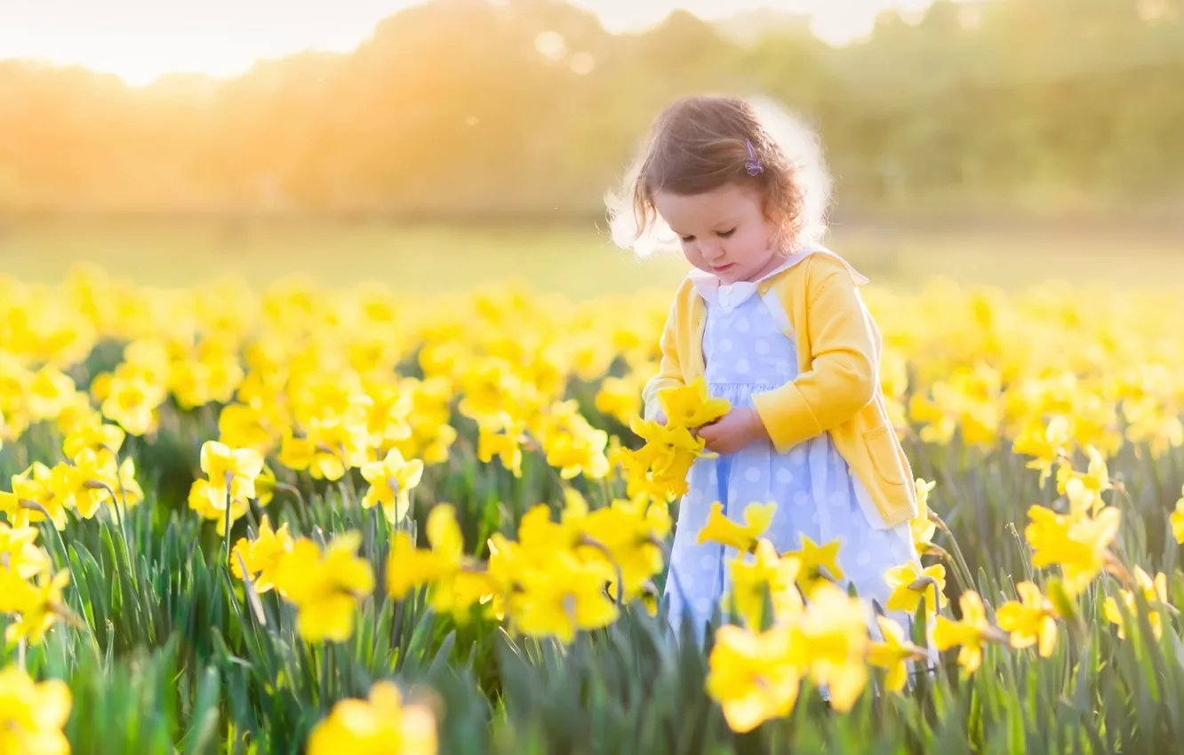 Photo wallpaper field, the sun, flowers, children, girl, fields, daffodils, daffodils