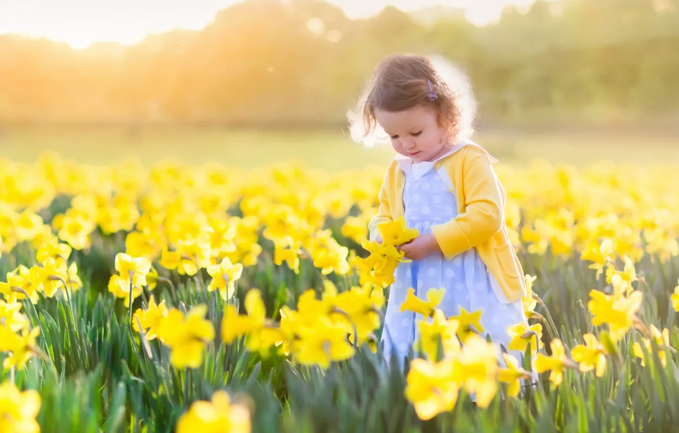 Photo wallpaper field, the sun, flowers, child, girl, fields, daffodils, little girls