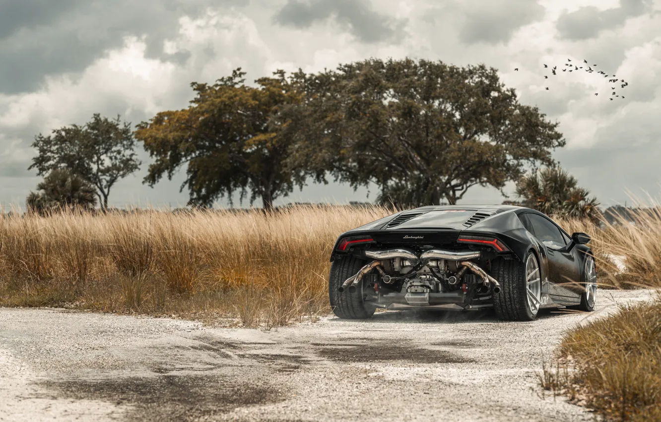 Photo wallpaper Lamborghini, Tuning, Supercar, Rear, Huracan, Adv.1