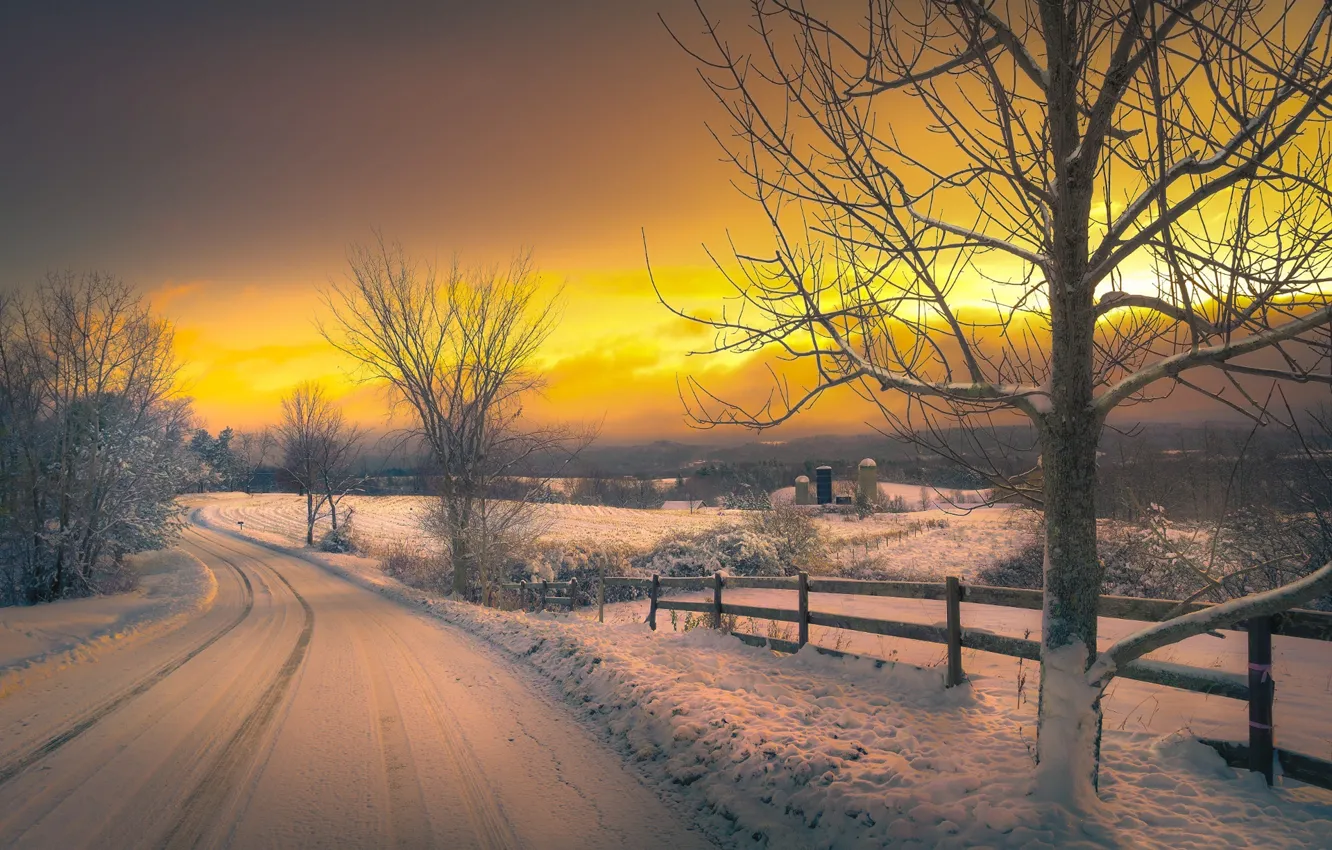 Photo wallpaper winter, road, the sky, clouds, snow, trees, the evening, glow