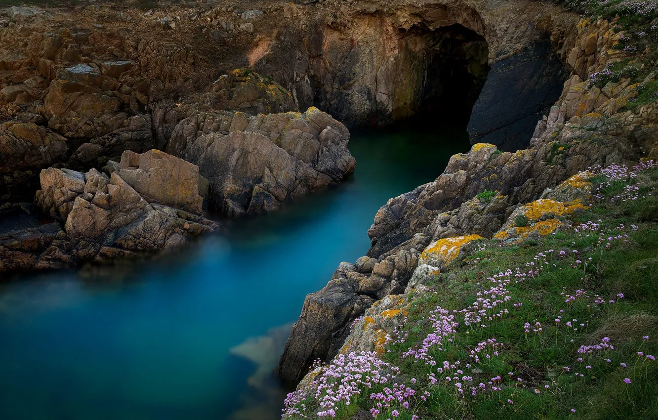 Photo wallpaper sea, nature, stones, rocks, vegetation, cave
