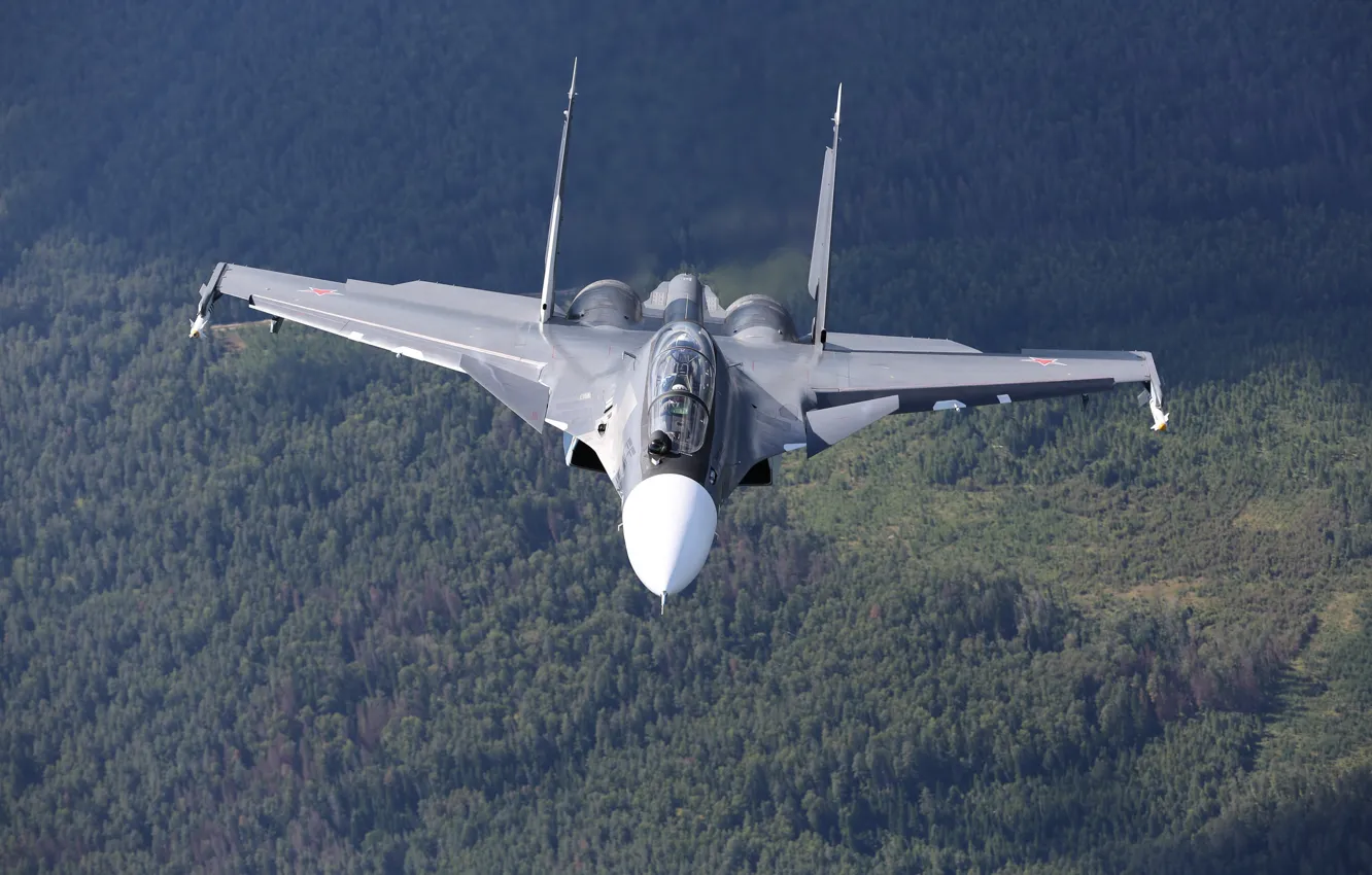 Photo wallpaper forest, flight, fighter, multipurpose, double, Su-30CM