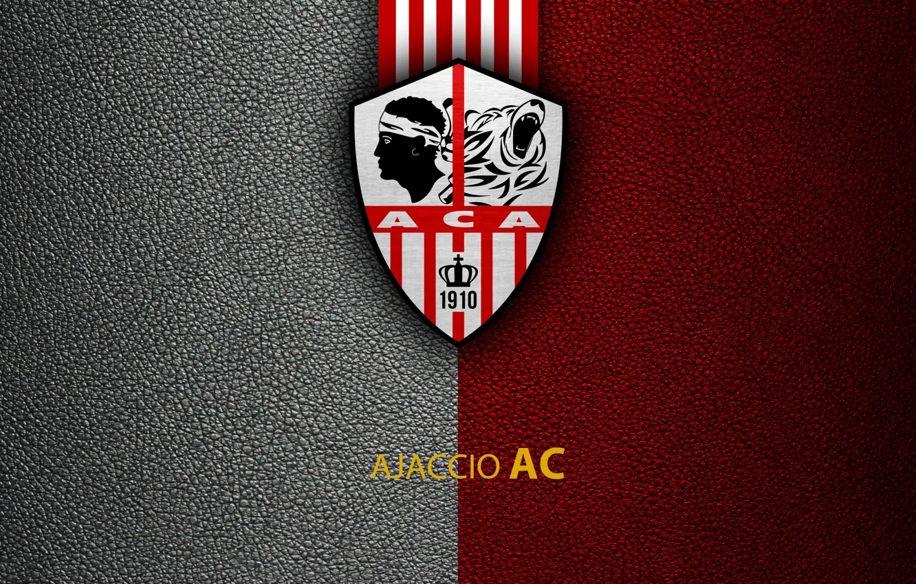 Photo wallpaper wallpaper, sport, logo, football, Ligue 1, Ajaccio