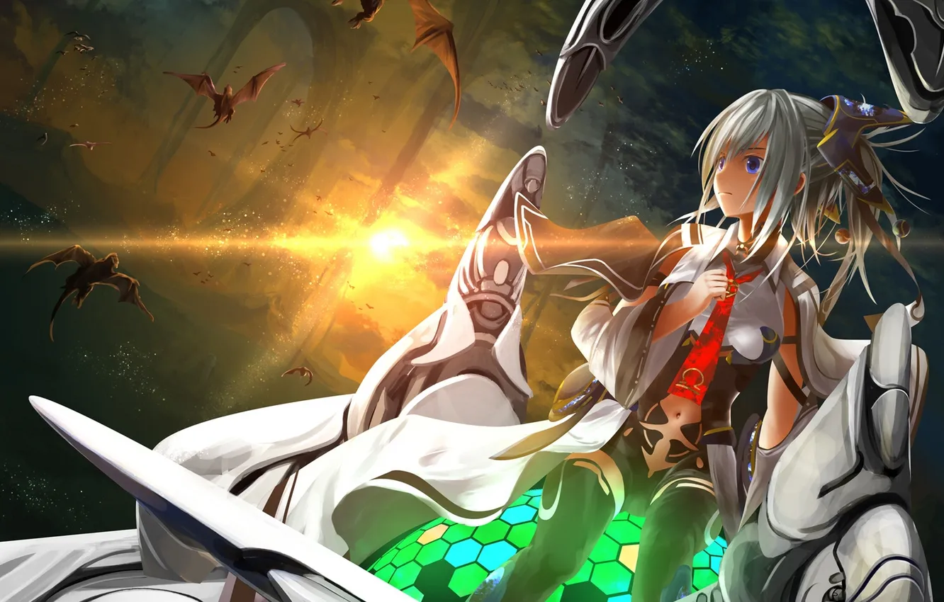 Photo wallpaper the sky, girl, the sun, clouds, sunset, dragon, anime, art