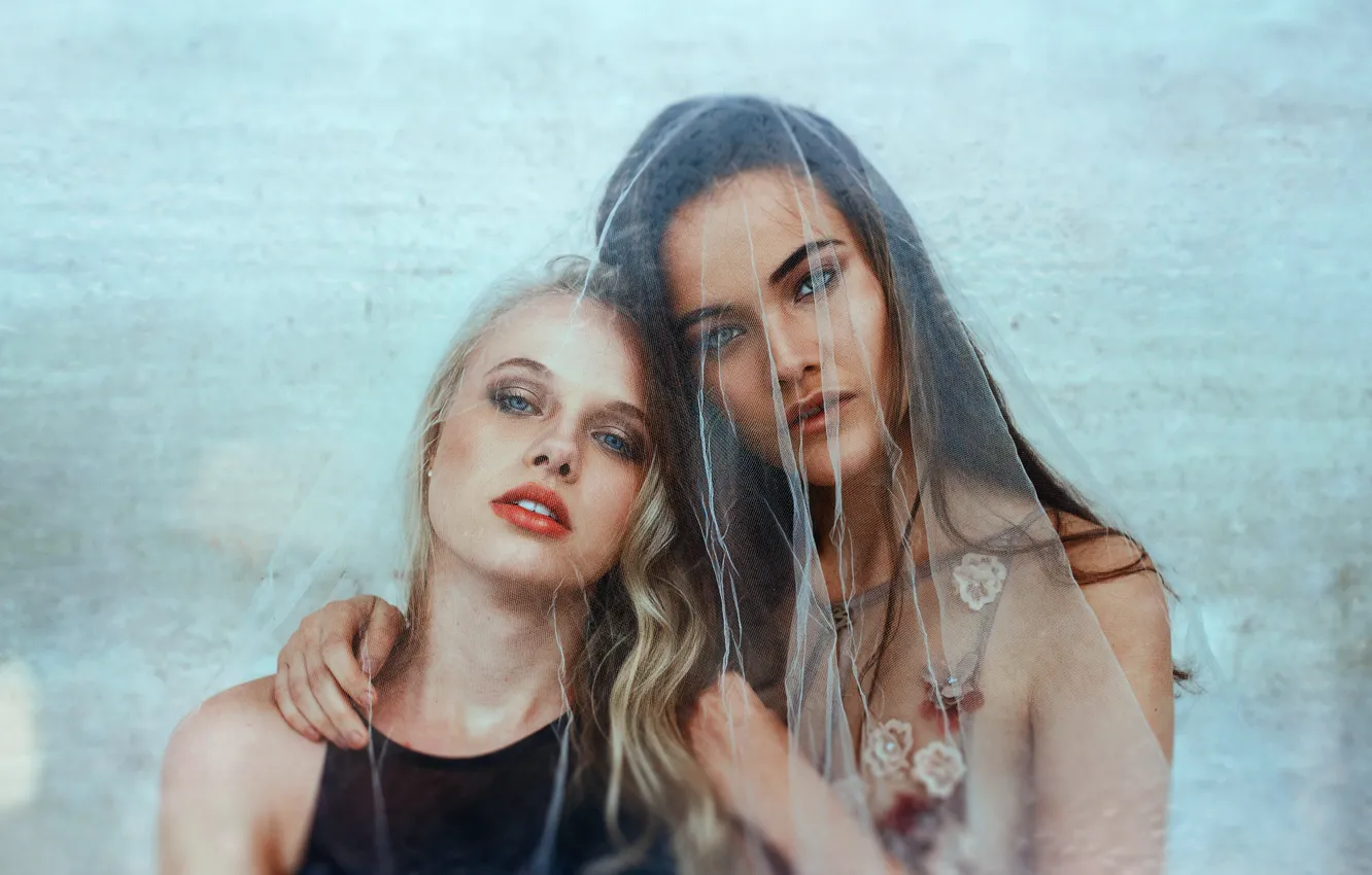 Photo wallpaper look, girl, face, veil, Rita, Daniela