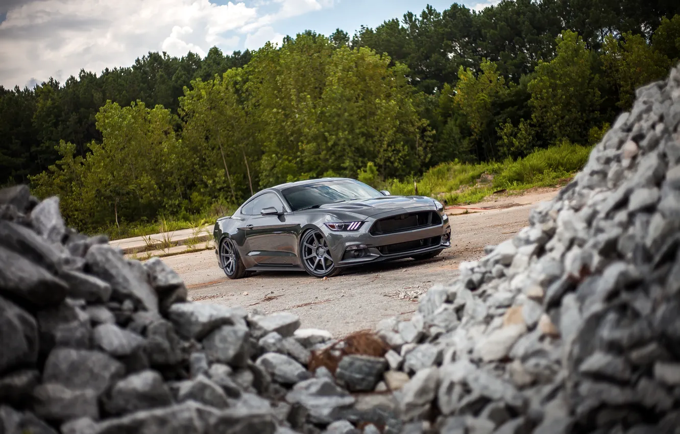 Photo wallpaper Mustang, Ford, Stones, 2015, 0.5