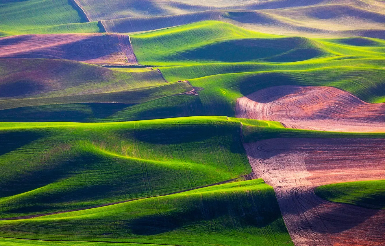 Photo wallpaper field, grass, hills, USA, Washington