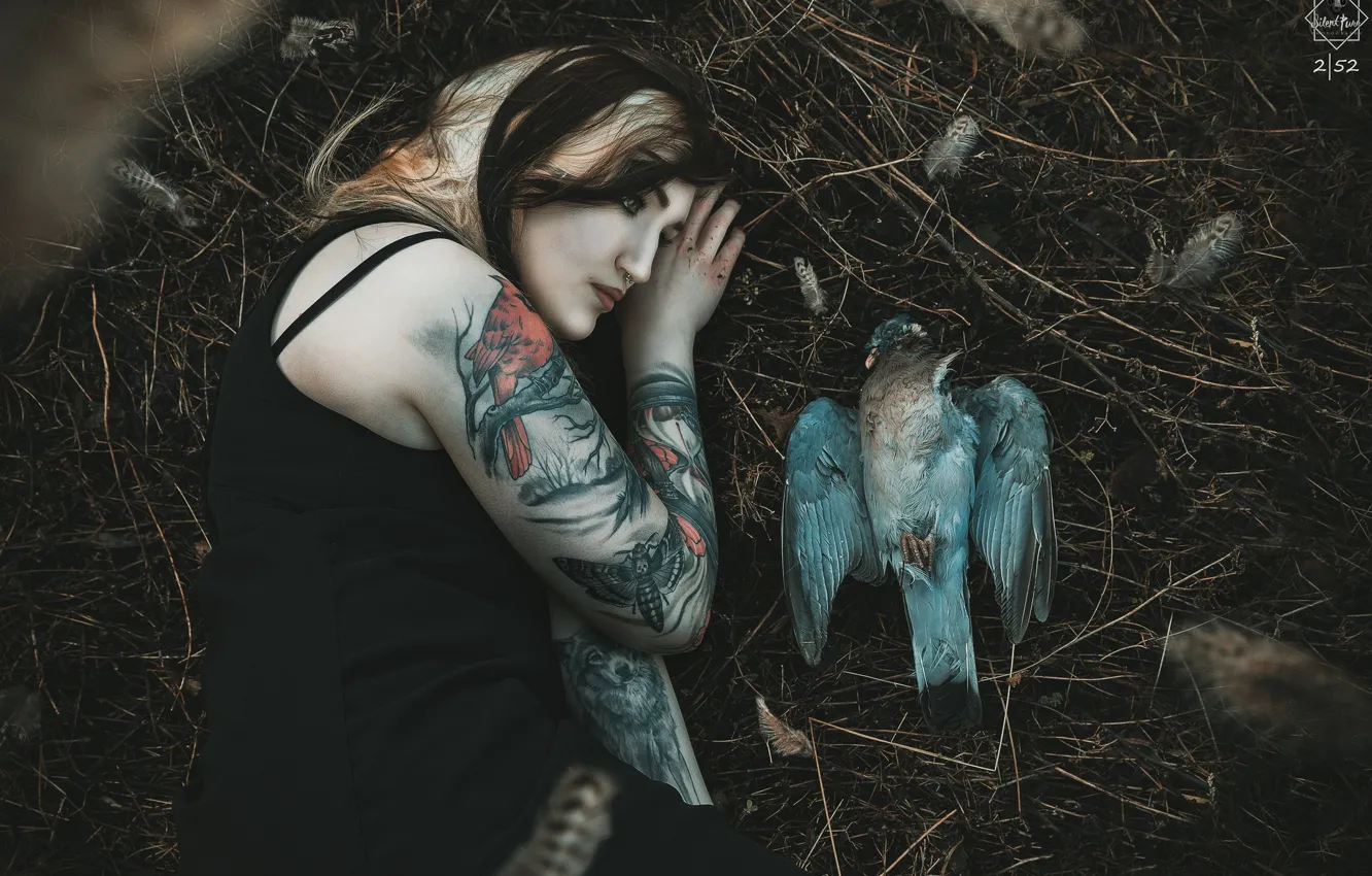 Photo wallpaper girl, bird, Silent Purr, ☽ Feathers ☾