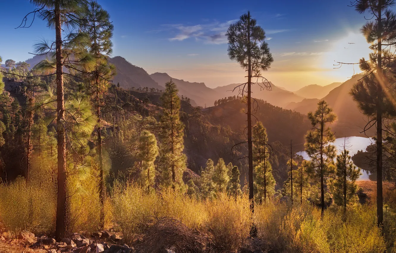 Photo wallpaper sunset, mountains, Spain, pine, Canary Islands