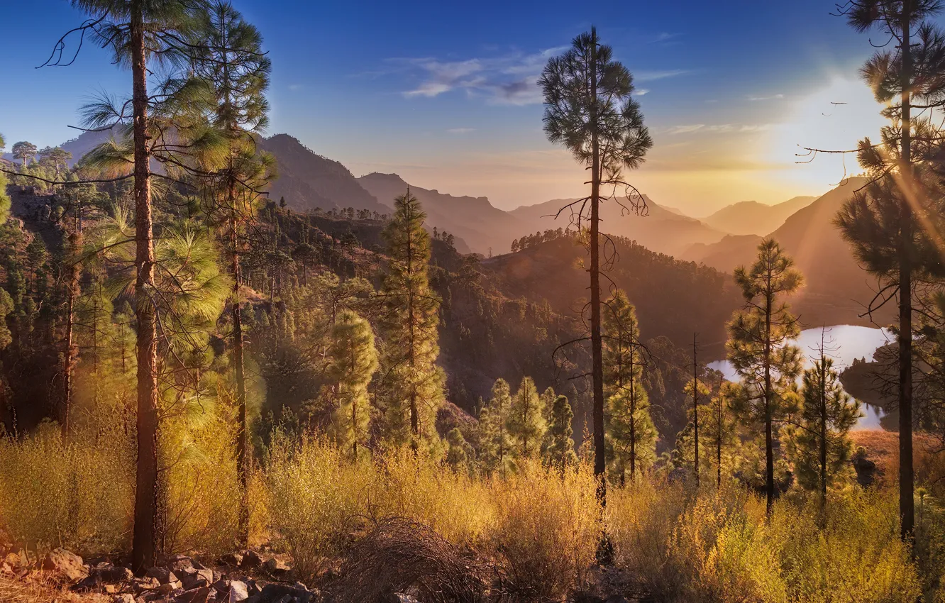 Photo wallpaper sunset, mountains, pine, Spain, Canary Islands