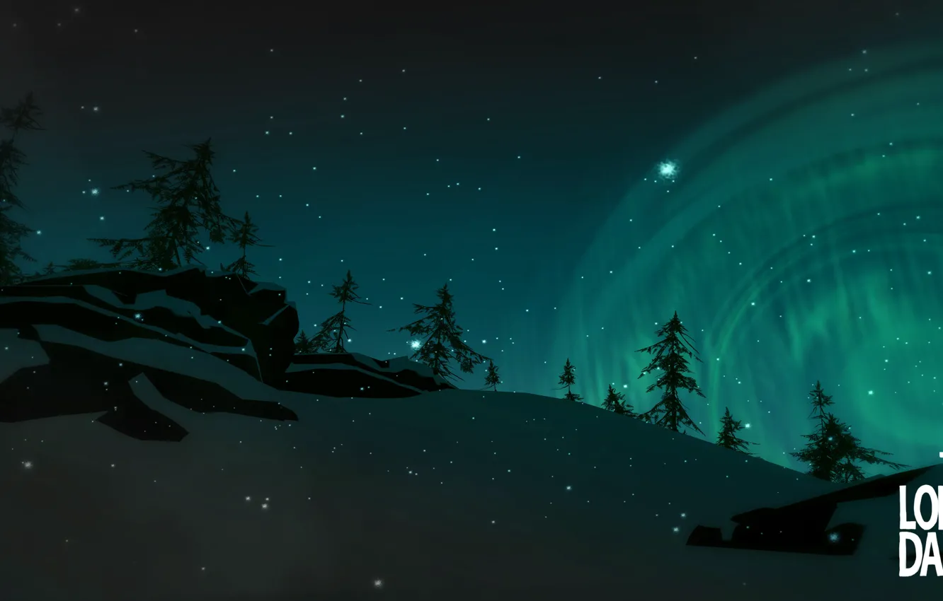 Photo wallpaper look, face, meerkats, the long dark