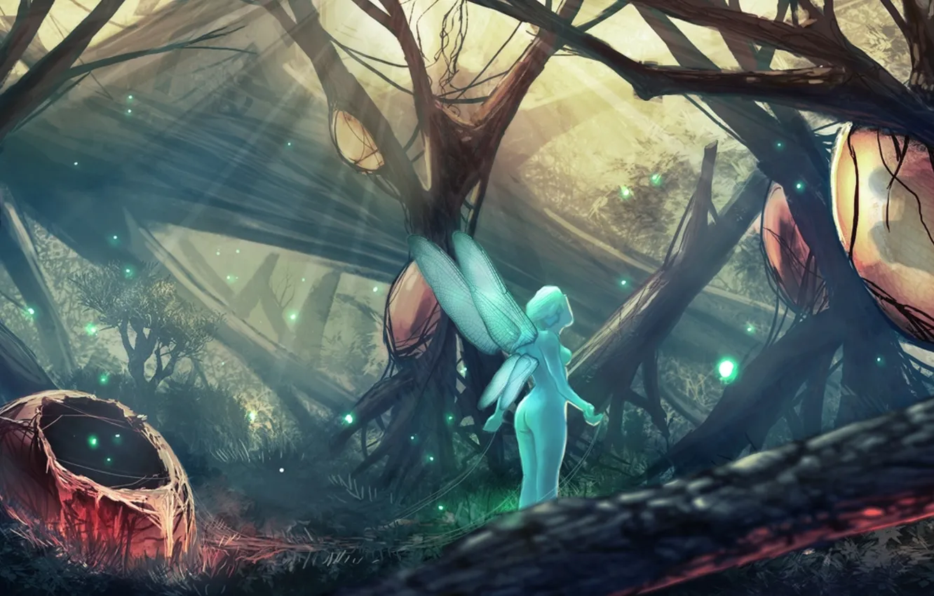 Photo wallpaper forest, wings, fairy, art, socket, by ApneicMonkey, Faerie Birthing Grounds