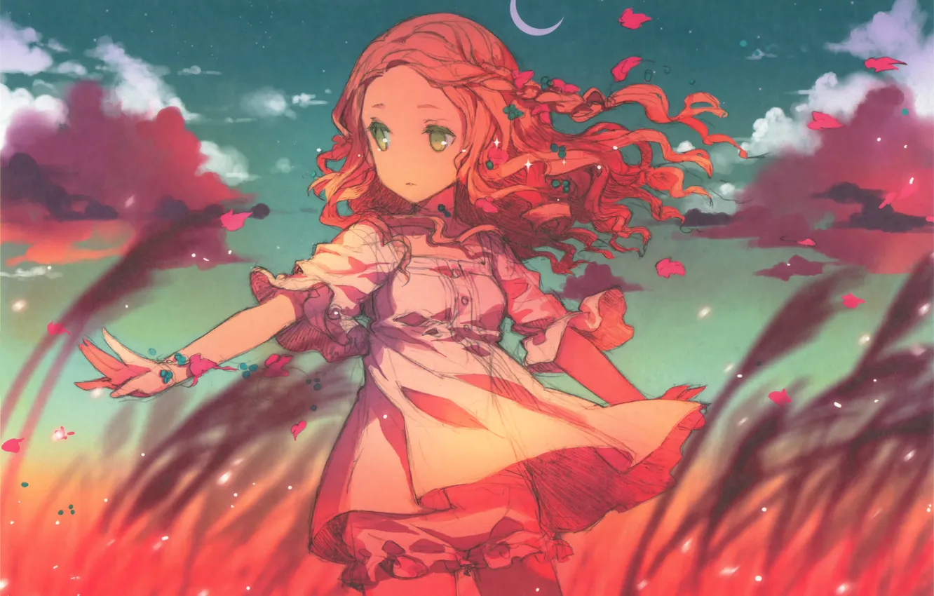 Photo wallpaper girl, anime, different