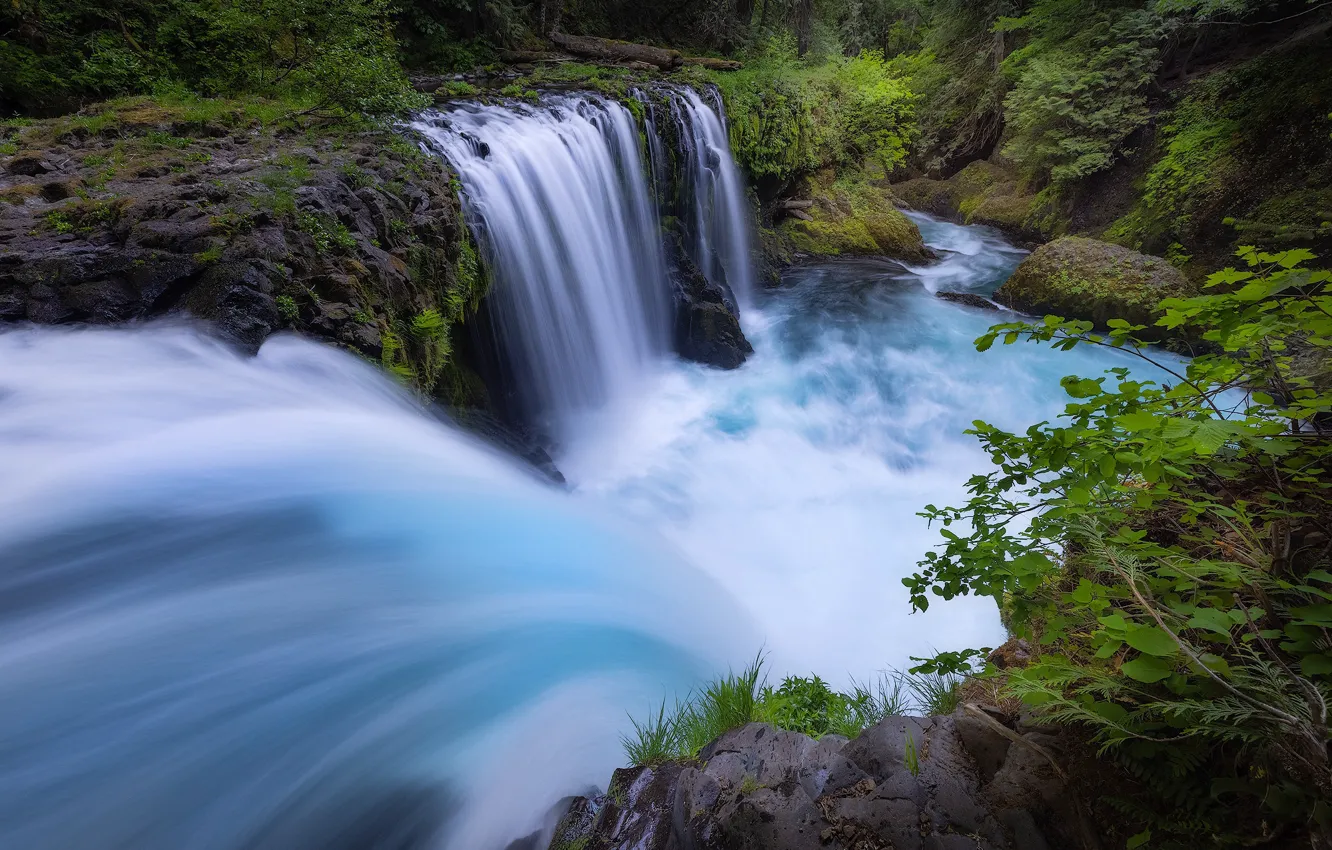 Photo wallpaper forest, river, waterfalls, Columbia River Gorge, Washington State, Little White Salmon River, Spirit If, The …