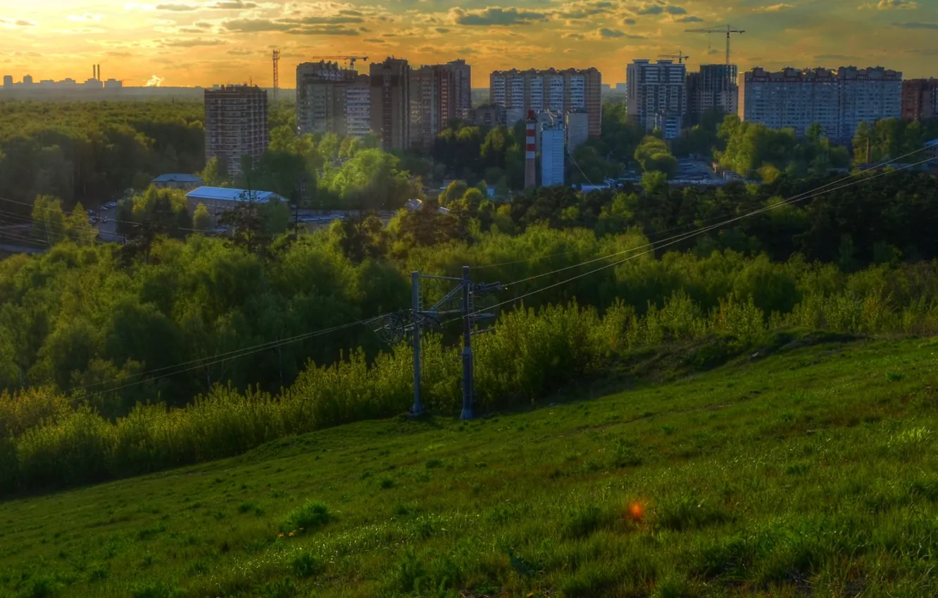 Photo wallpaper forest, the city, HDR