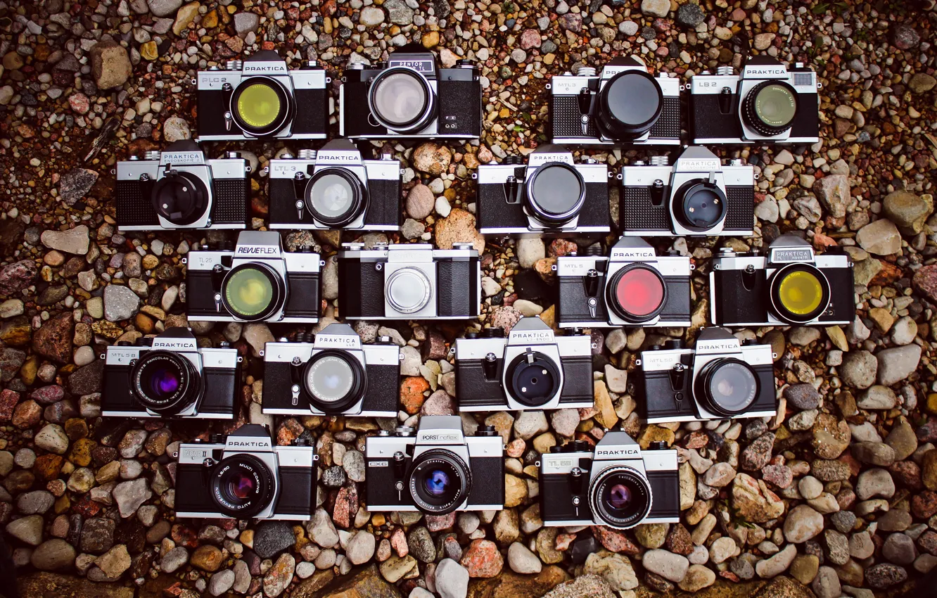 Photo wallpaper macro, background, camera