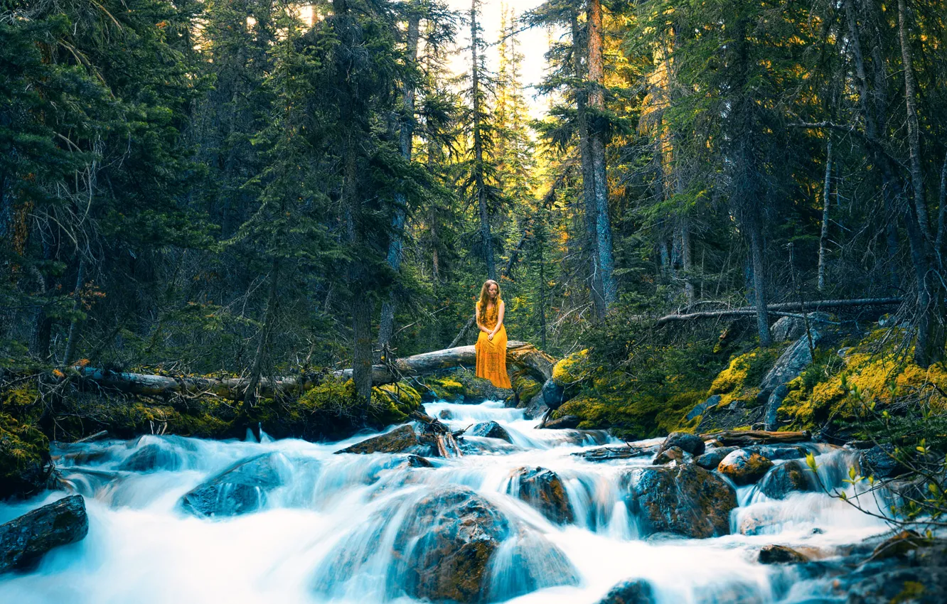 Photo wallpaper forest, girl, river, Lizzy Gadd, Where Thoughts Flow Freely