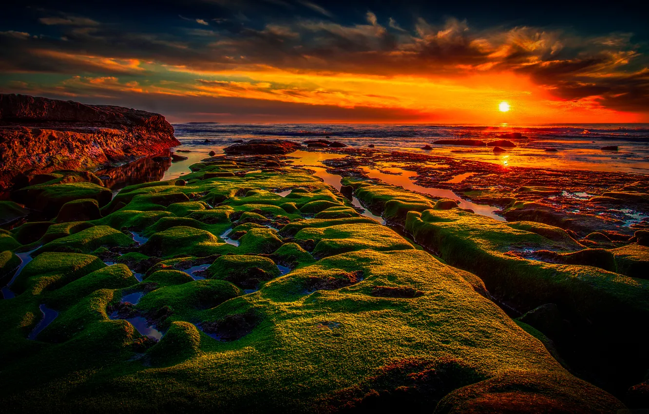 Photo wallpaper sea, the sky, sunset, stones, coast, moss, horizon