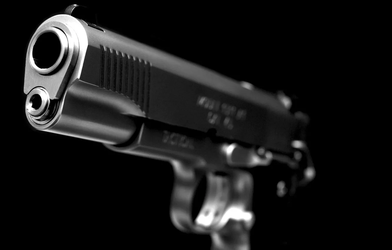 Photo wallpaper macro, gun, weapons