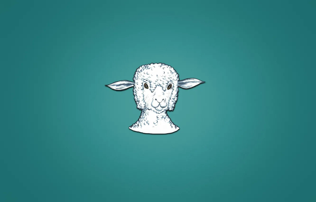 Photo wallpaper animal, minimalism, head, lamb, sheep, sheep, bluish background