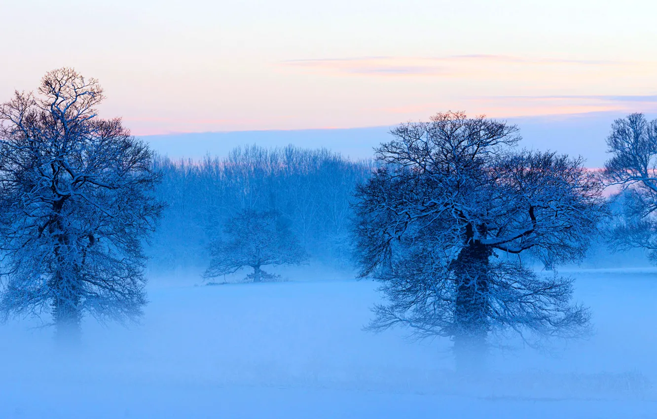 Photo wallpaper winter, the sky, clouds, snow, trees, panorama, haze