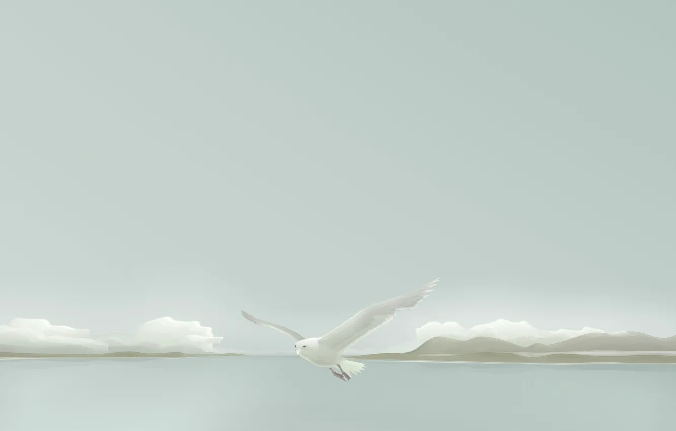 Photo wallpaper minimalism, Seagull, Vector