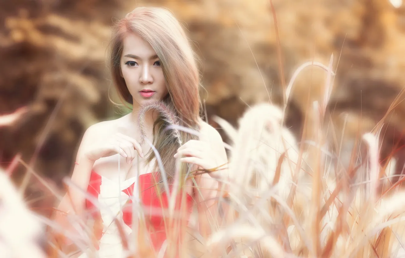 Photo wallpaper summer, girl, face, background