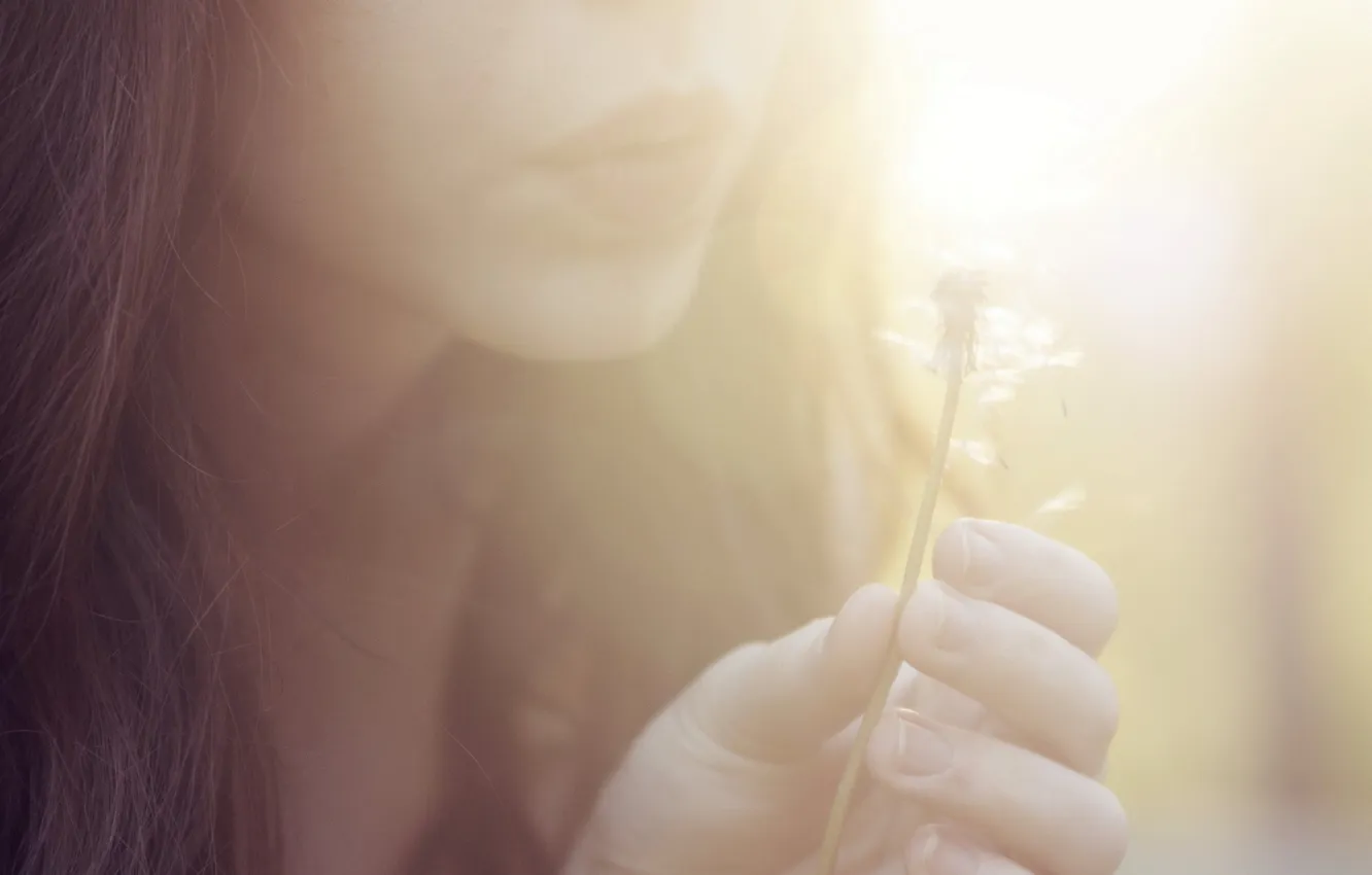 Photo wallpaper girl, light, mood, dandelion